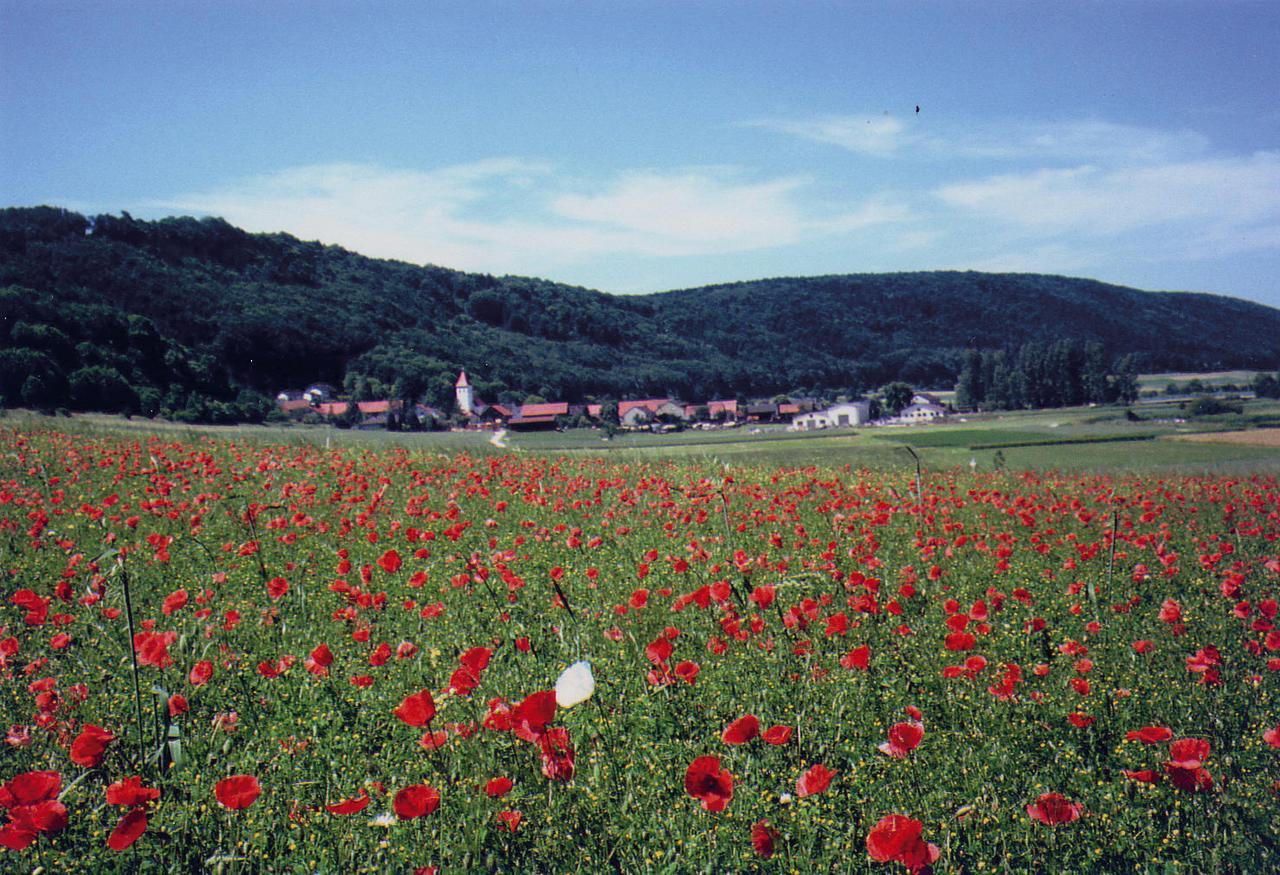 Landgasthof Wagner-Zimmermann Kinding Exterior foto